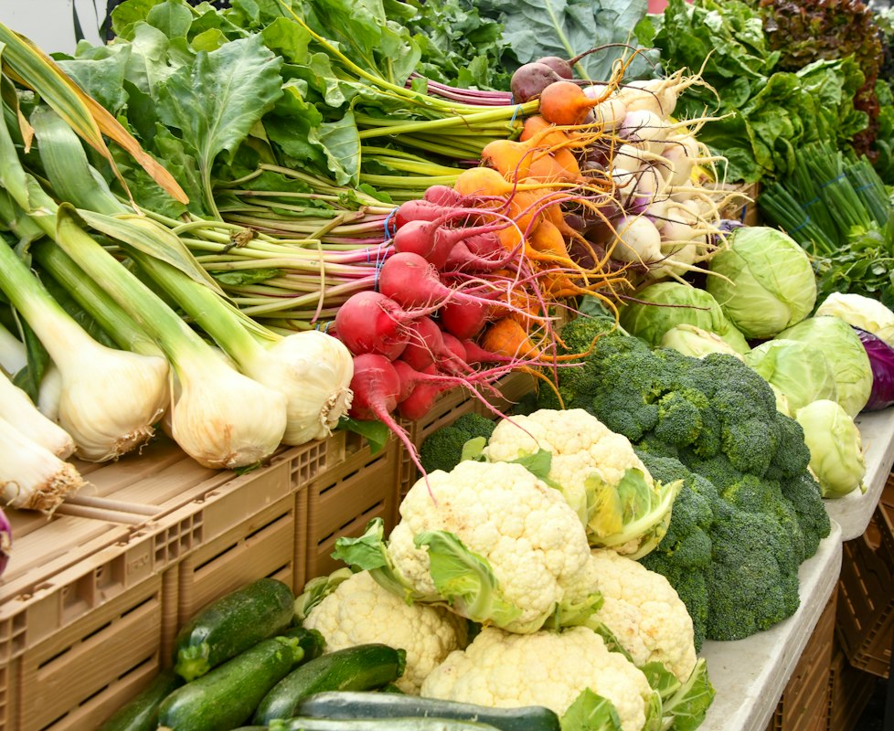 Tentang Nutritionwisdomcenterinfo